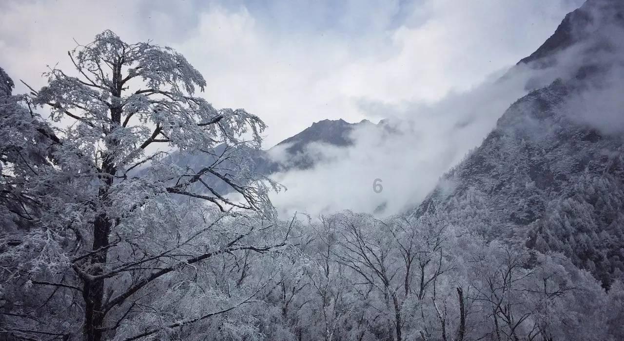 加入男朋友隐瞒了家族遗传糖尿病史,我应不应该分手?知识星球,开启专属学习之旅